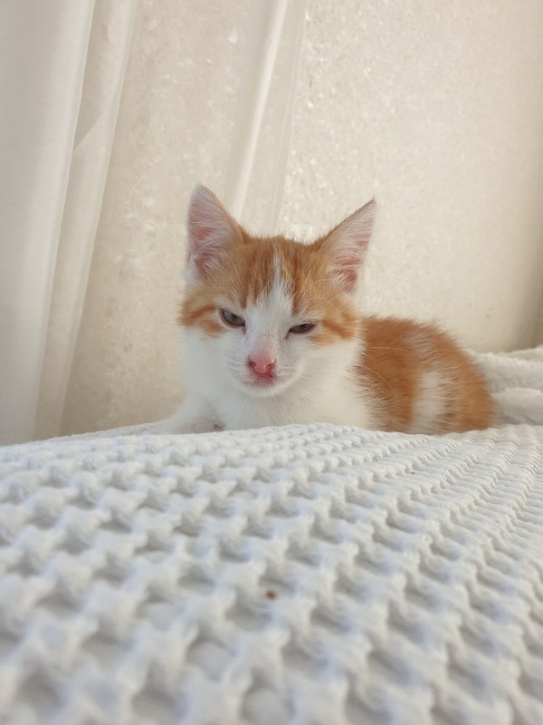 88D16C71-139A-4640-992E-2AA9C9D61F4A