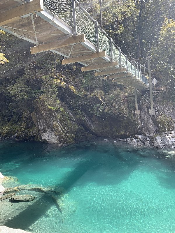 Nueva Zelanda: La primavera Kiwi nos fue marcando la ruta - Blogs de Nueva Zelanda - Haast-Wanaka-Arrowtown-Queenstown (3)