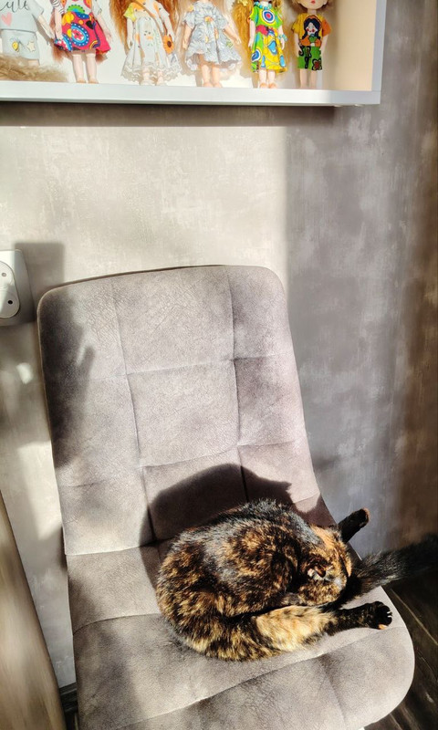 photo 2025 11 17 11 13 01 (3)