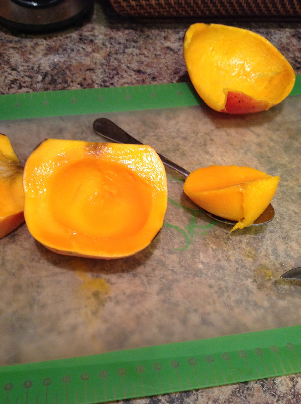 0eb1cd5d081501a1c2067c92a204ef6e