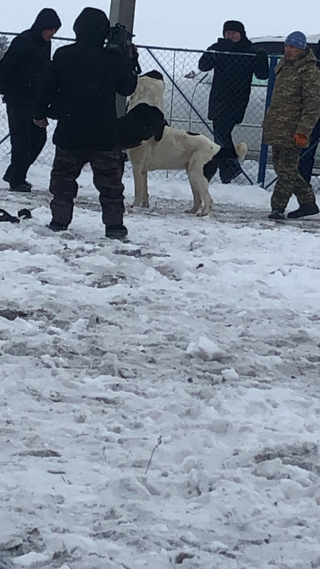 4119C04A-2E5C-4FB4-8A56-B512618F5EAB