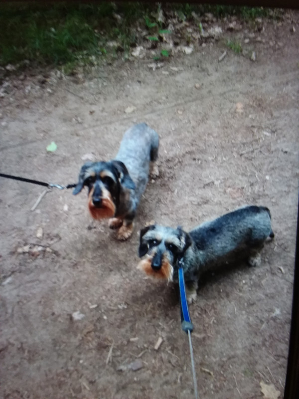 [Image: 20210616-185254.jpg]