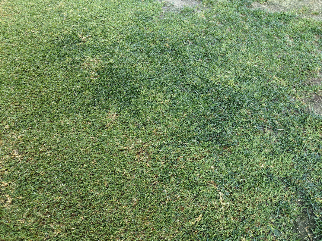 PXL_20220611_011857729