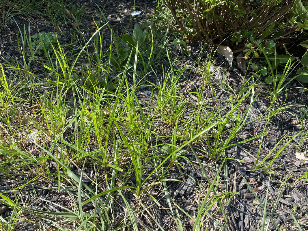 65FB7388-B815-4304-BCC6-AE2FFD650032