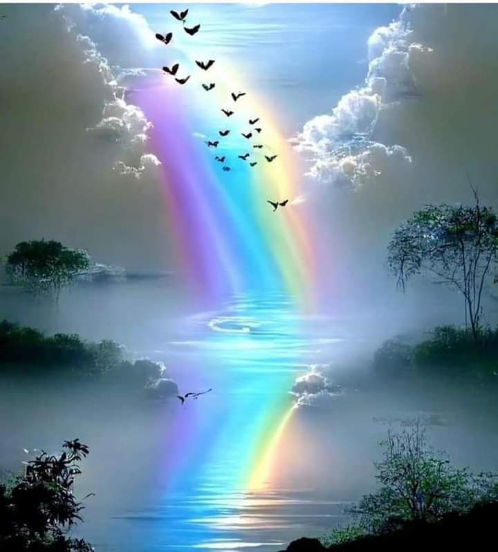 [Image: FB-IMG-1720301451338.jpg]