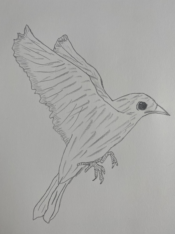 0018A8B9-B596-46C3-9231-5B93B51ACBF0