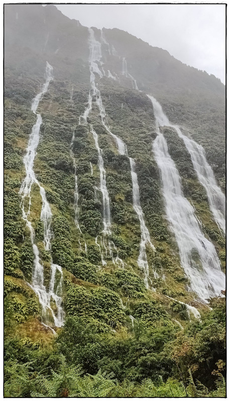 Fiordland NP: Milford Track (enero 2023) - Escapadas y rutas por la Nueva Zelanda menos conocida (56)