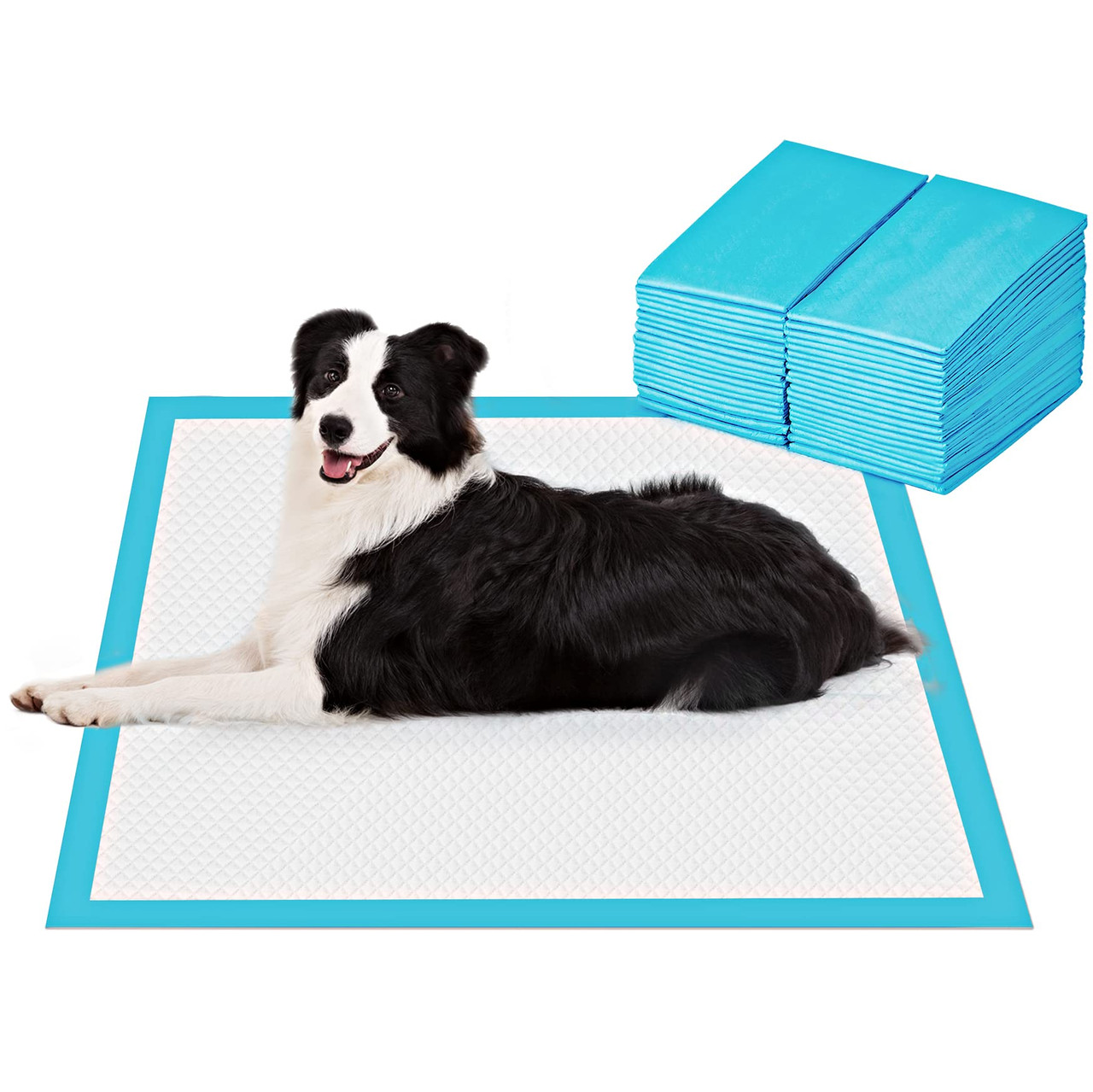 BESTLE Extra Large Pet Training Pads 28x34 40 Count