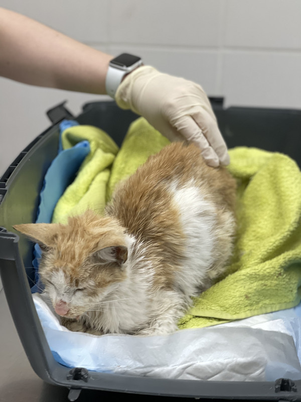 B6E944FF-36F2-46E6-ACDA-7C3C8A948A1E