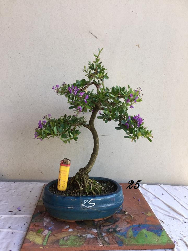 39042070_851671781689104_3506319031671980032_n