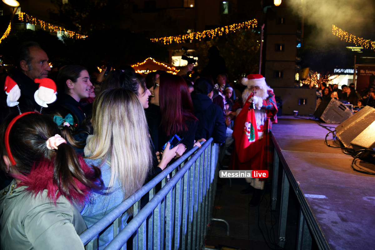 δεντρο DSC_0178