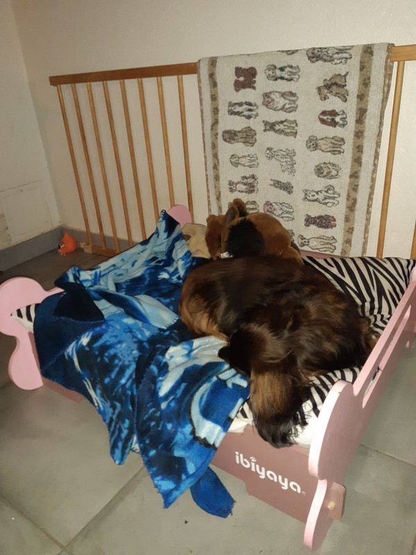 [Image: 20221015-070909.jpg]