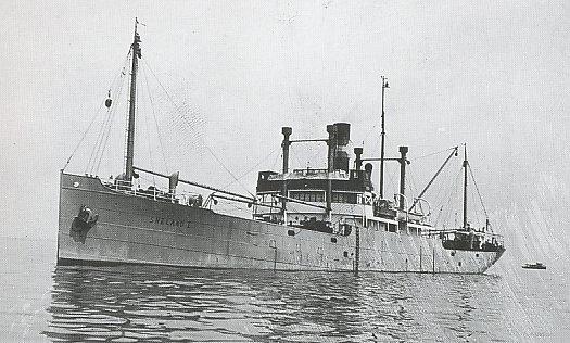 sneland-i.jpg