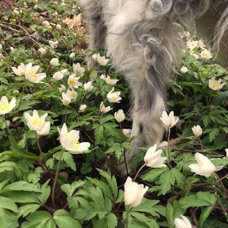 6B2E7420-C65A-461F-BFA2-735DF5D5D176