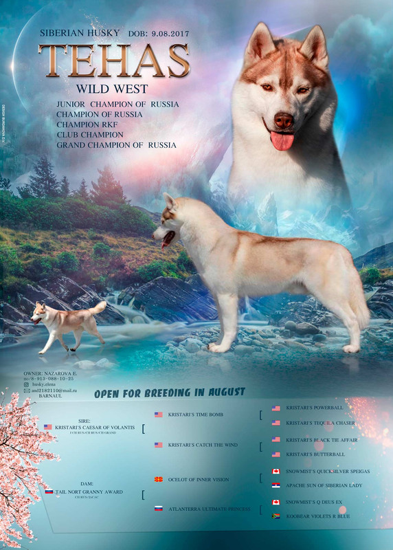 ТЕХАС презентаия