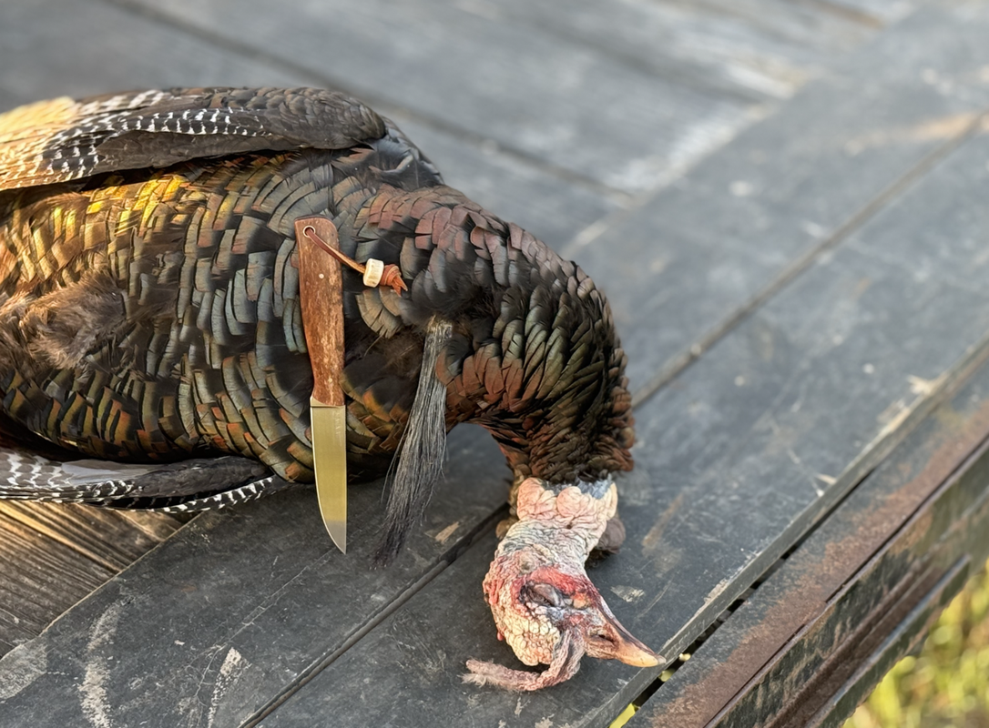 Screen Shot 2025-04-11 at 3.55.26 PM