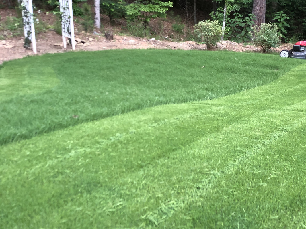 ECCE729F-93A1-4A2C-927A-BA338E42CB42