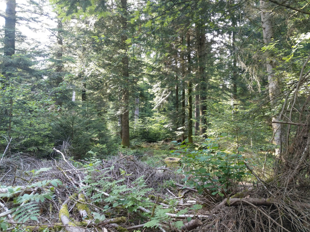 A2A70EA6-667A-4CEB-95F2-6A8892F8DEA1