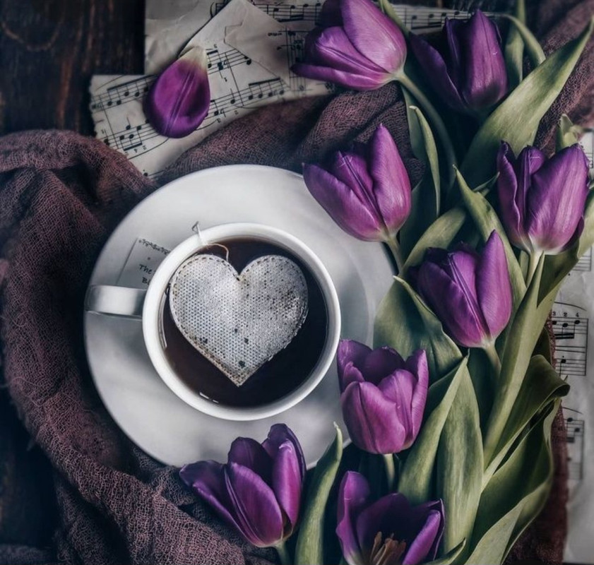 Screenshot_20230219_201813_Pinterest