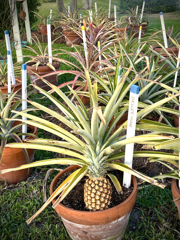 C6D43405-0164-4BBA-941F-175E6E874CBE