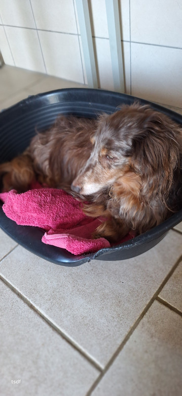 [Image: 20250628-201433.jpg]