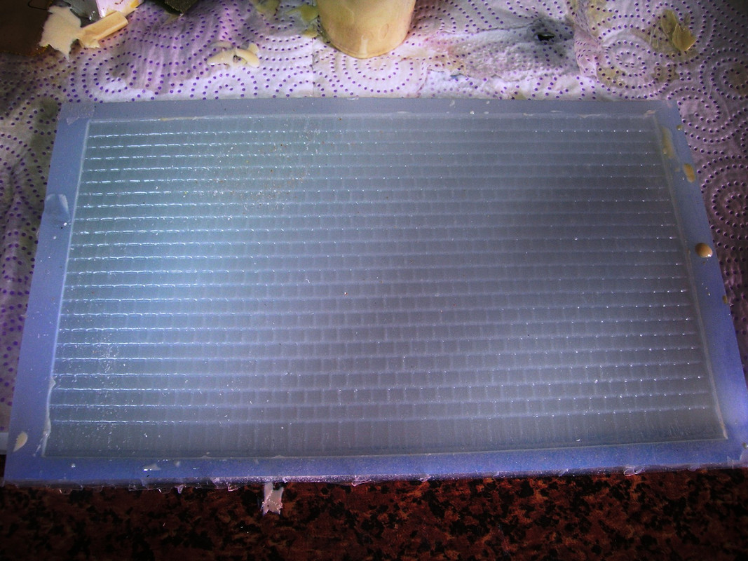 DSCN3872