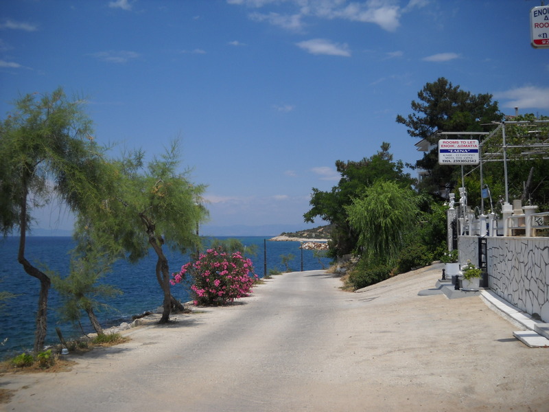 Slika