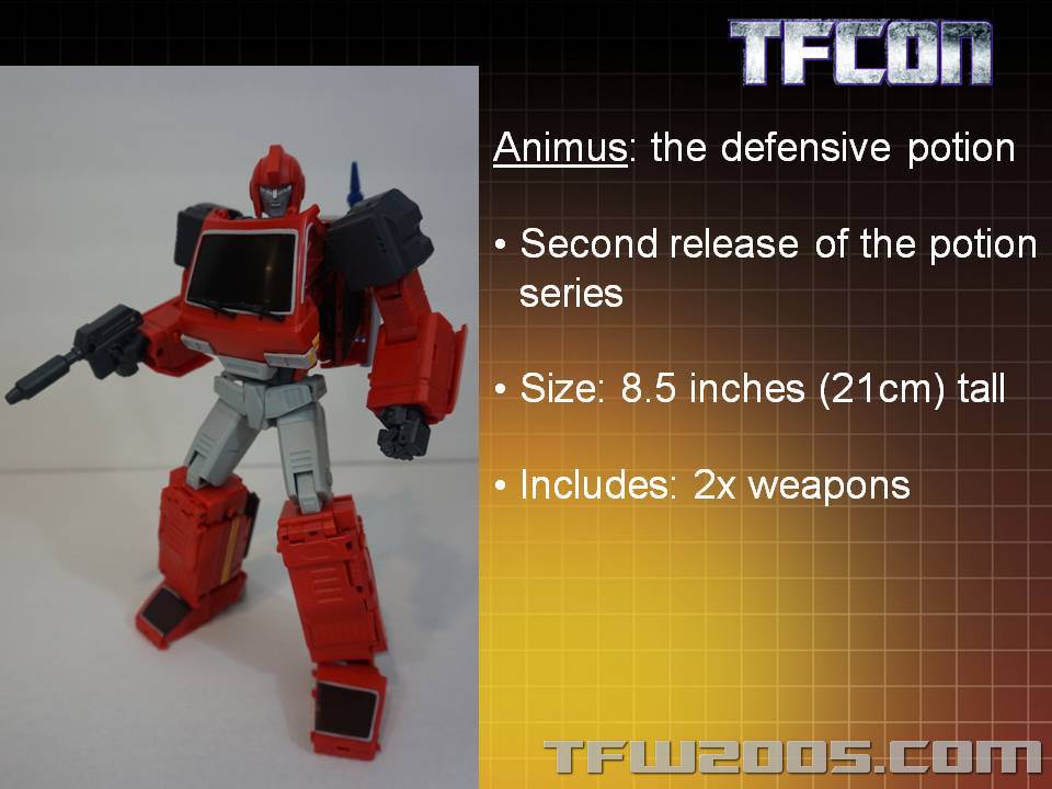 TFCon-USA-2015-338