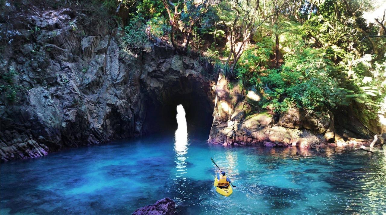 Whenuakura - Donut - Island Guided Kayaking Experience | Shaara Deals 
