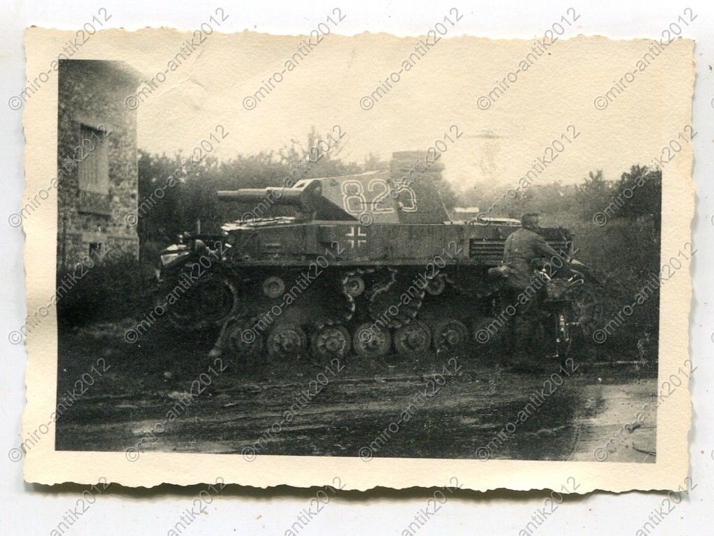Foto, Wehrmacht, zerstörter deutscher Panzer, Tu
