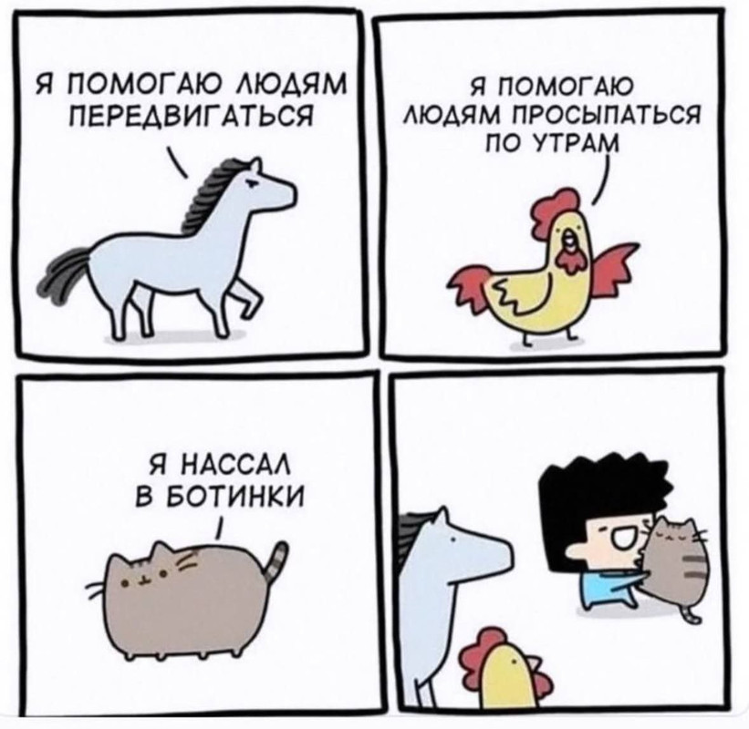 IMG_20250401_120941_977