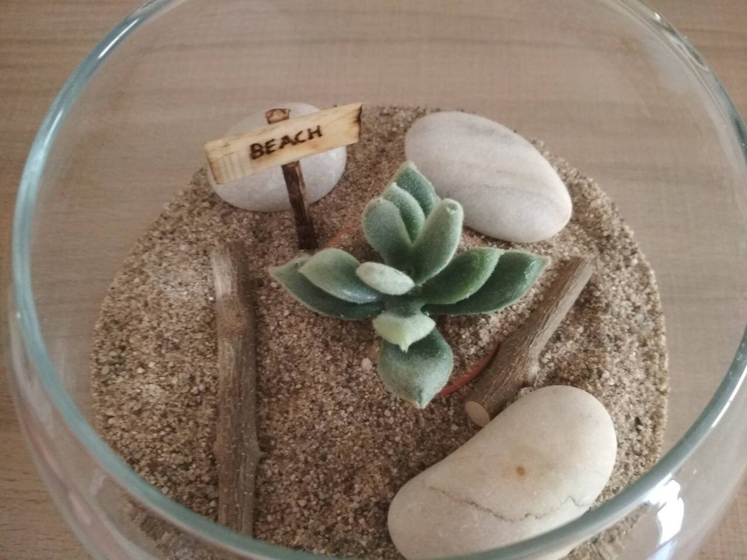 35A415F4-C844-41A8-822C-3BA814C7EE03