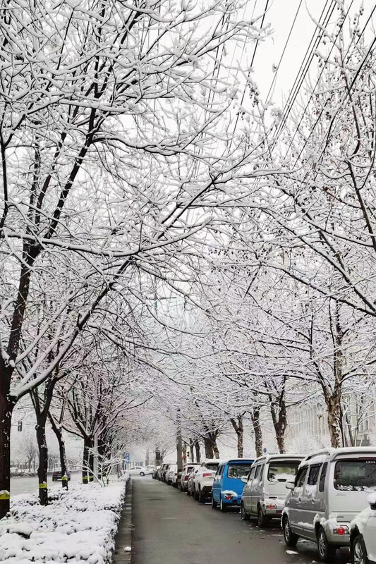 冰天 — Postimages