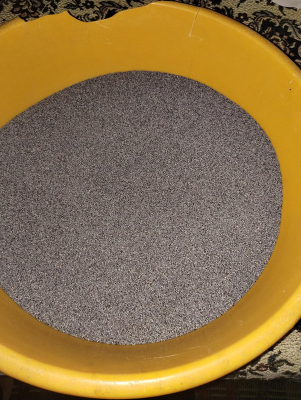 IMG_20250909_083105415