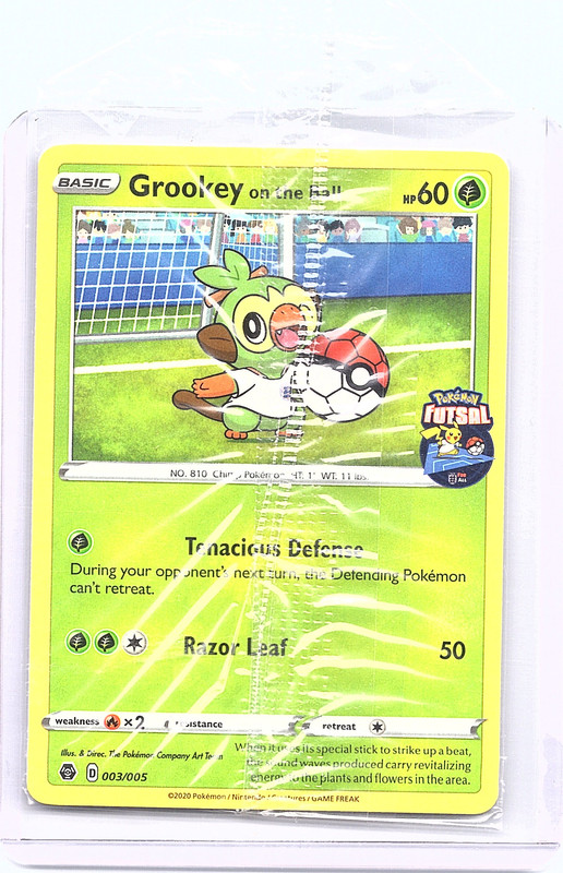 Document 20260213 0119