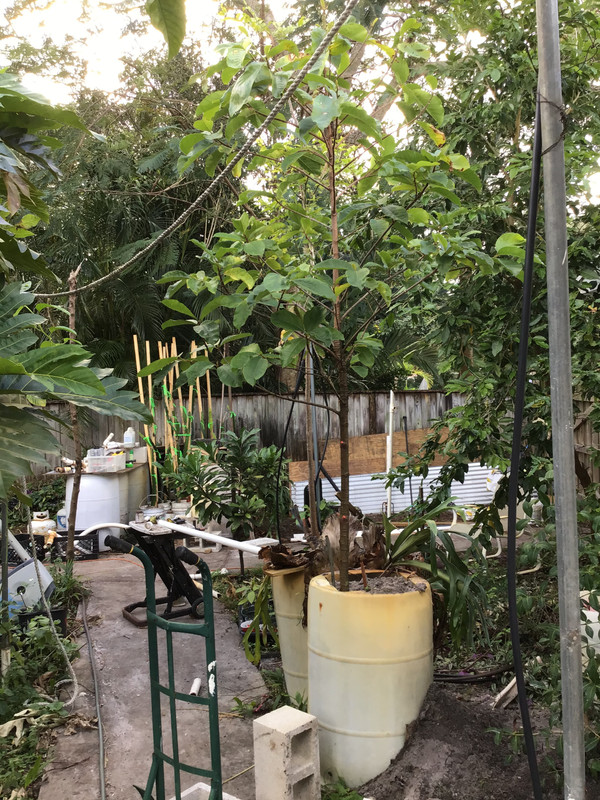 D8A5D5F6-DFB9-4B99-83A7-1D361FA74A0E