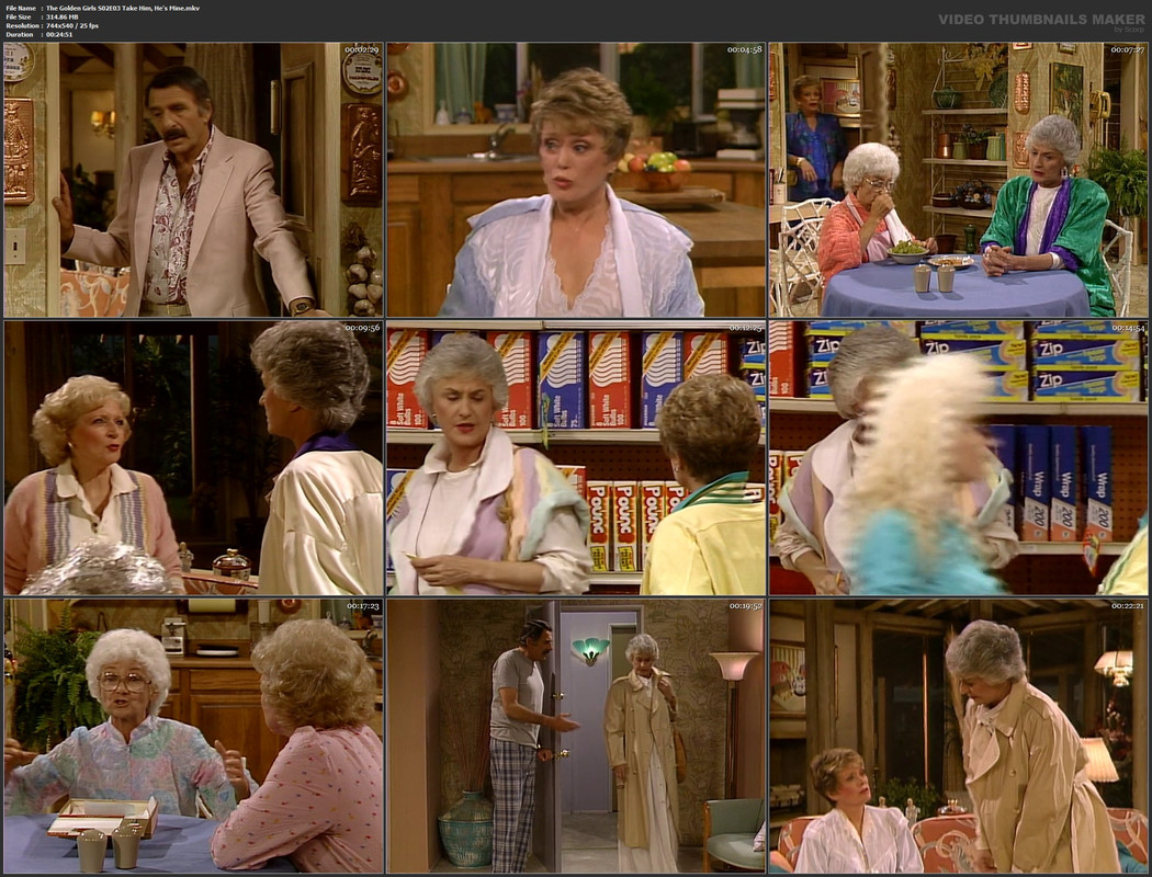 The Golden Girls S02E03 Take Him, He's Mine.mkv
