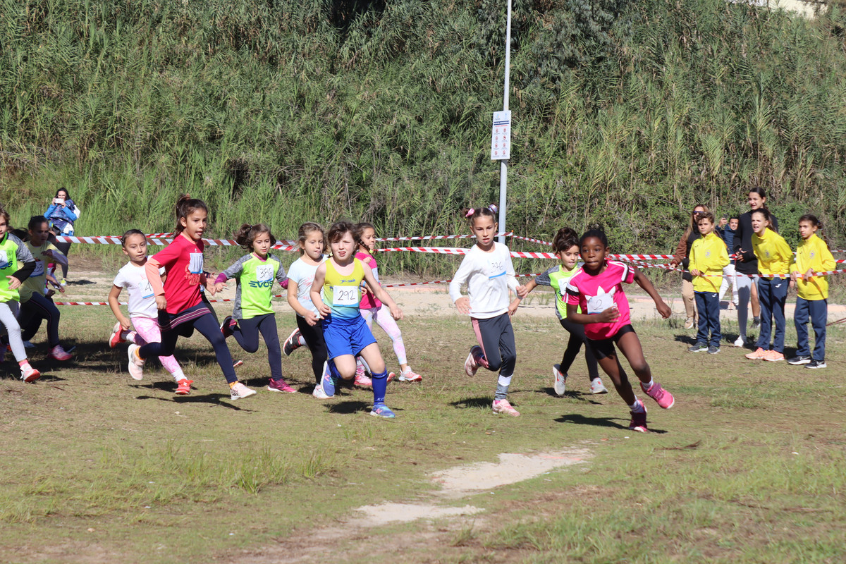 IMG-0564
