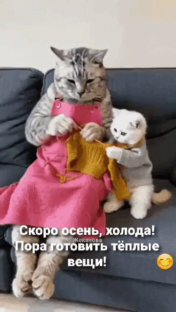 i-okcdn-ru-i-2024-09-10-T234340-165