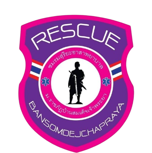BSRU Logo