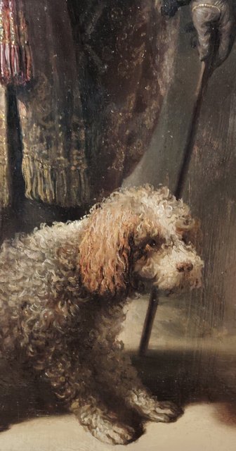 Escapada por Amsterdam - La Haya - Delft - Rotterdam - Leiden - Londres - Blogs de Europa - Museo Mauritshuis, decepcionante Depot Boijmans y callejeo por Delft y Leiden (185)