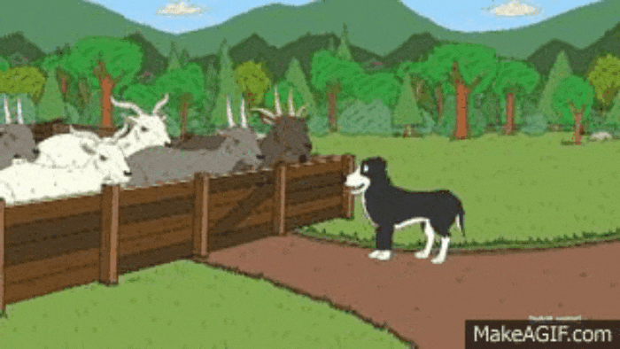 GIF-20250528-064959-151.gif