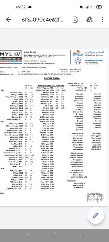 анализы Нюша2