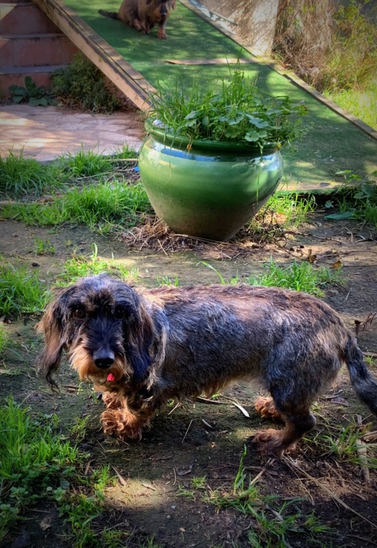 [Image: IMG-0316.jpg]