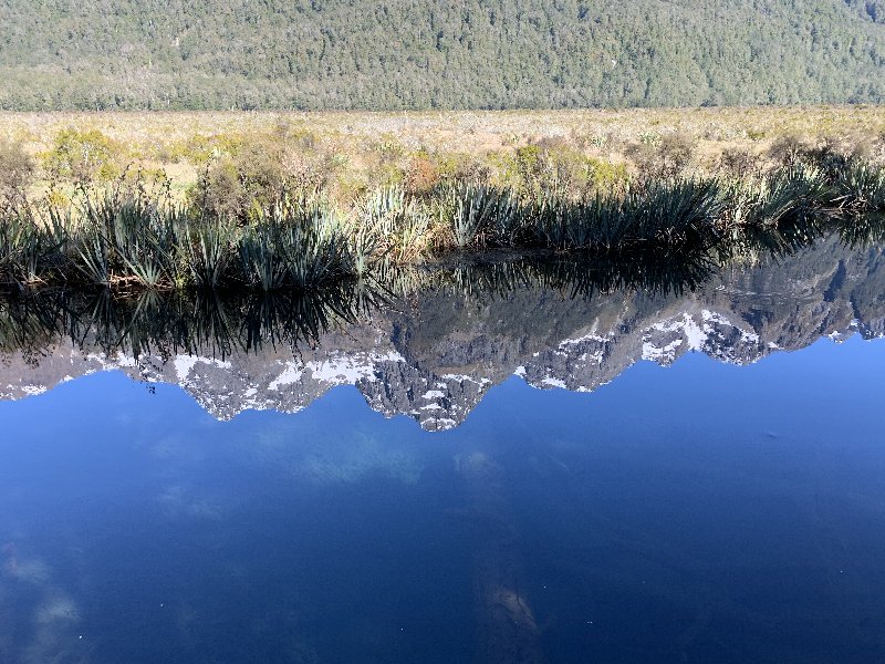 Nueva Zelanda: La primavera Kiwi nos fue marcando la ruta - Blogs de Nueva Zelanda - TeAnau-MilfordSound-TeAnau (1)