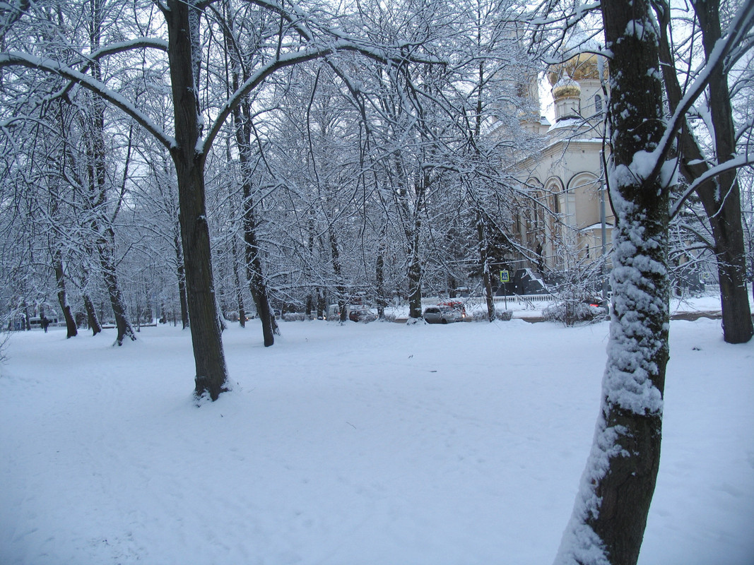 Ноябрь2023 081б