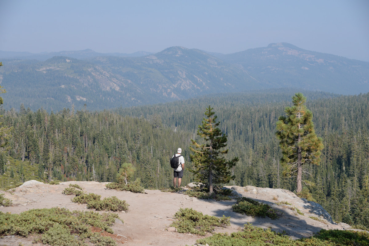 Árboles gigantes, fuegos y volcanes extintos - Oregon y California norte (2018) - Blogs de USA - Primeros días en el norte de California (13)