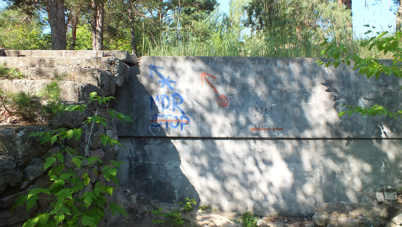 DSCF8806
