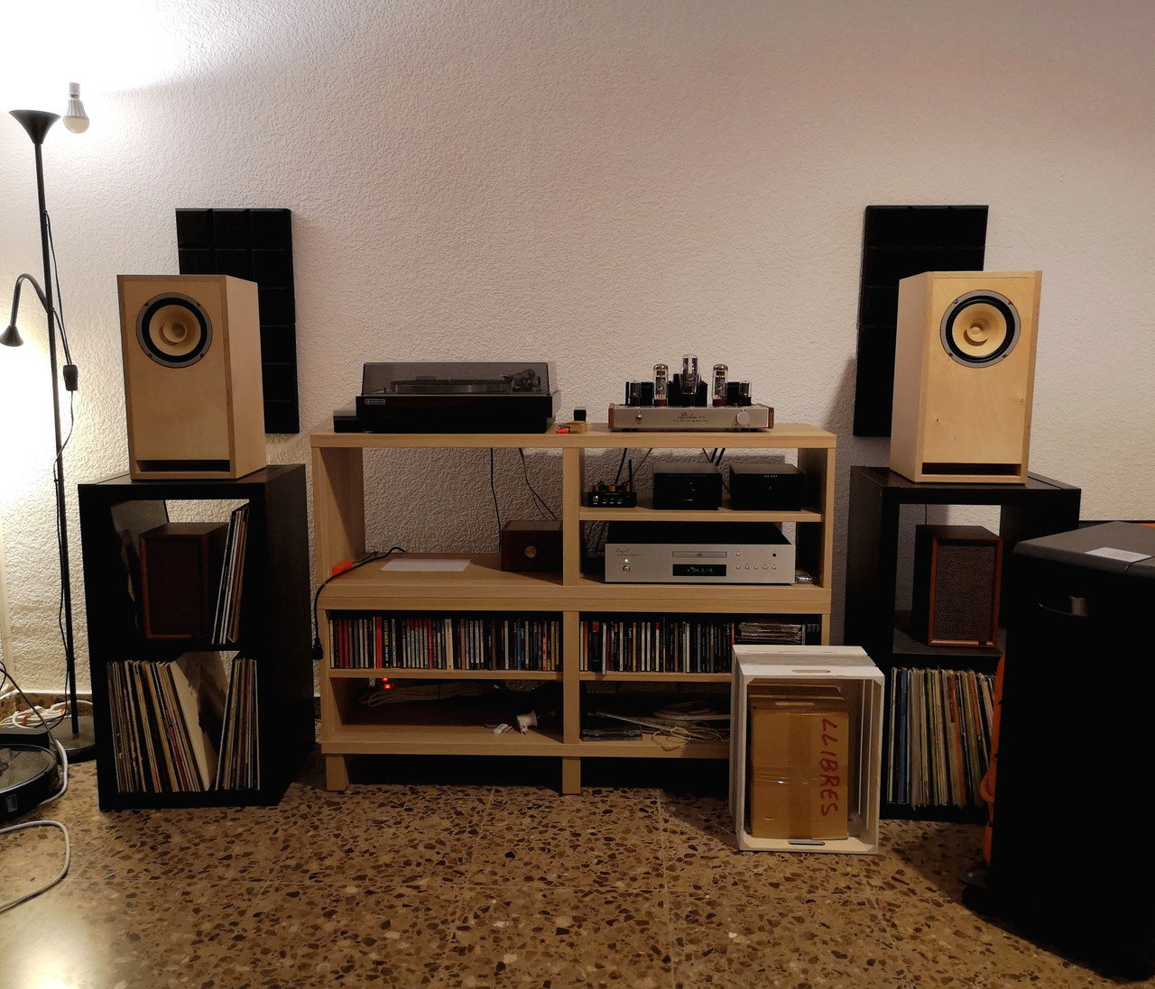 IMG 20260412 122658 edit 243630459674282