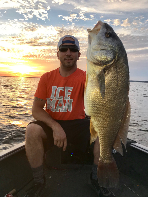 7191B690-B39D-4616-A238-2BAC26A46041